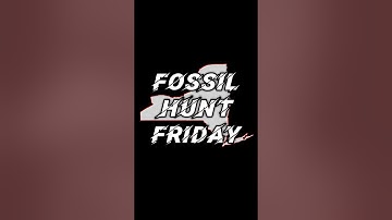 🚨FOSSIL HUNT FRIDAY🚨 Upstate New York. #fossilhunting #rockhounding #fossils #paleontology