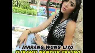 Rontang Ranting voc. Deviana Safara.mp4