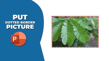 How to put dotted border to image in PowerPoint