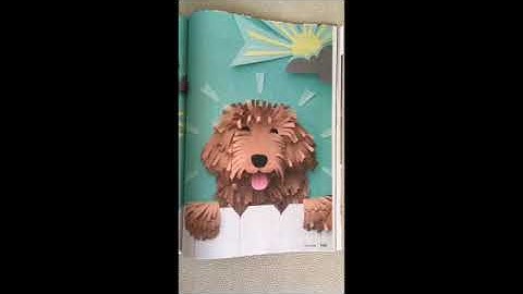 How did my self-learning piano story get published in Reader