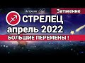 СТРЕЛЕЦ - АПРЕЛЬ 2022 Солнечное затмение ГОРОСКОП. Астролог Olga