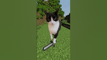 Cat Craft 🐱🪖 #Minecraft #cat #fyp #memecut #funnytiktok