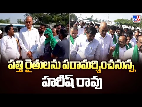 పత్తి రైతులను పరామర్శించనున్న హరీష్ రావు | TG Politics - TV9 - TV9