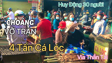 Choáng VÍA THẦN TÀI sáng mùng 10 NGƯỜI SÀI GÒN XẾP HÀNG MUA CÁ LÓC , BÁN VÀI TẤN CÁ LÓC 1 NGÀY