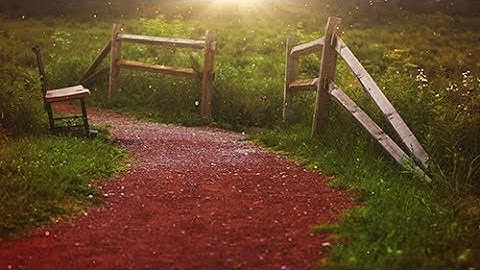 Motionbolt.com - Path