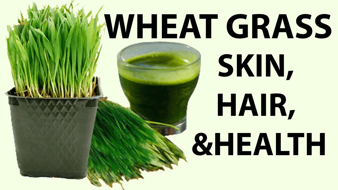 12 Best Benefits Of Chives For Skin And Health 12 Best Benefits Of Chives For Skin And Health new photo 12 Best Benefits Of Chives For Skin And Health 12 Best Benefits Of Chives For Skin And Health new foto