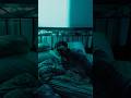 Obsession #shorts #cinematography #film #horror