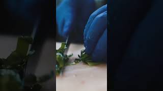 🔪️ Master the Art of Precision Cutting in 2026! 👀