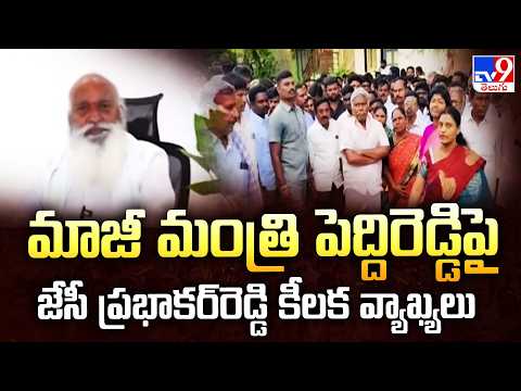 JC Prabhakar Reddy : మాజీ మంత్రి పెద్దిరెడ్డిపై జేసీ ప్రభాకర్‌రెడ్డి కీలక వ్యాఖ్యలు - TV9 - TV9