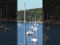 Manly via Fairlight walk