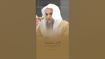 فضيلة الشيخ أ.د. فيصل غزاوي || الحمد لله رب العالمين || سورة الفاتحة
