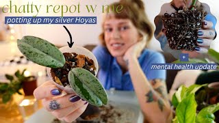 chatty repot with me  potting up 9 plants! philodendron, pothos, hoya, + more
