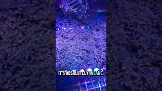 Adding a pop of blue to the refugium! #saltwateraquarium #reeftank #marinelife #plantedtank