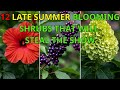 12 Late Summer Blooming Shrubs That Will STEAL THE SHOW 12 Late Summer Blooming Shrubs That Will STEAL THE SHOW