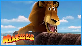 DreamWorks Madagascar | Alex has a terrible plan | Madagascar | Kids Movies