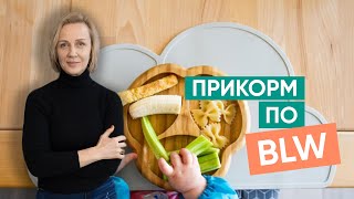 Прикорм по BLW и его минусы