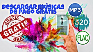 Deezloader 2.5.6 Como descargar Músicas Originales Fácil 2020 screenshot 3