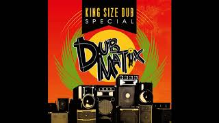 Video thumbnail of "Dubmatix Feat. Tenor Fly - Show Down (Bassbin Remix) [King Size Dub Special] (2018)"