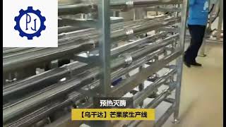 6TH Mango Pulp production line puree sterilization aseptic filling system