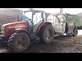 Feeding dairy cows, mixing and feeding out silage.