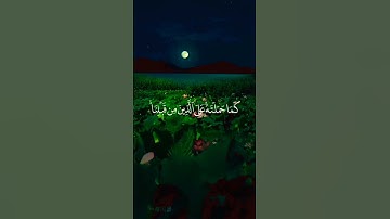 القرآن الكريم عبد الباسط عبد الصمد تلاوة خاشعة حالات واتس اب قرآن كريم 💗🥀