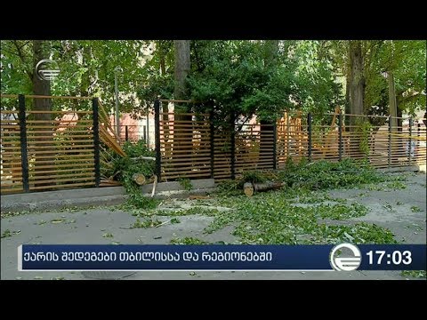 თბილისში ხეების წაქცევის შედეგად დაშავებულის მდგომარეობა მძიმეა