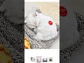 #thegigglegallery #sleeping  #kitty #white #cat https://www.meesho.com/s/p/ar76hh?utm_source=si