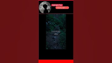 اكتب شيء تؤجر عليه 🤍🫶 مع تلاوه خاشعه