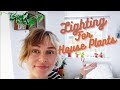 Window Lighting | What Plants I Grow In North, East, South, West Facing