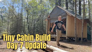 Building a Tiny Cabin in the Woods, Day 7 The Boys