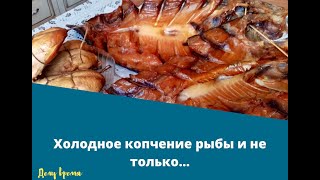 Холодное копчение толстолобика и не только...How to smoke fish ft home.