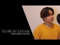 You are my sunshine cover by luke vargas