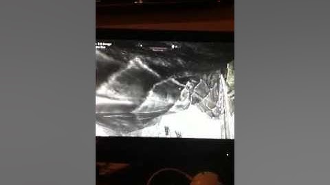 Skyrim level 100 sneak in 10 minutes