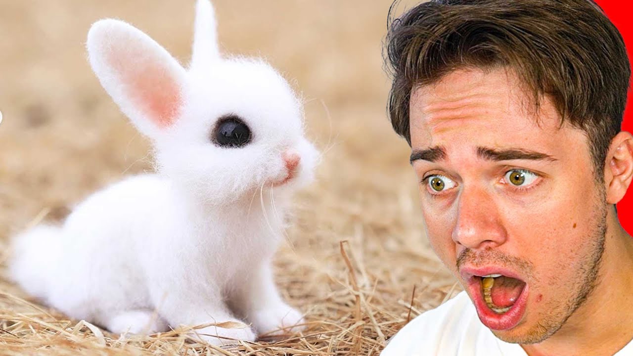 Probeer Geen AWW Te Zeggen... (MOEILIJK)