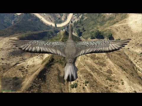 Play As A BIRD In GTA 5 Peyote HD