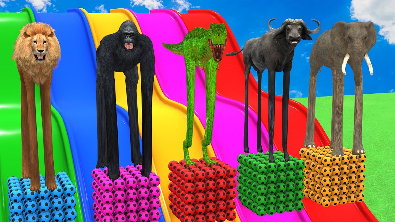 Long Slide Game With Elephant Gorilla Red HORSE SPIDERMAN Crossing FOUNTAIN Superheroes Animals Game