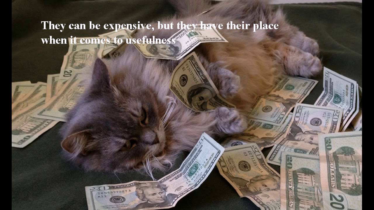 Payday Loans Payday Advance online for USA YouTube