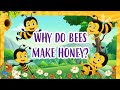 Why do bees make honey  educationals for kids