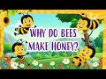 Bee Society and Honey Production Quiz