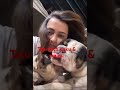 Teju at home with daku&amp;majnu #shortvideo #love#tejran #tejjaswiprakash#karankundrra #treanding#viral