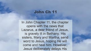 John Chapter 11 summary and read together