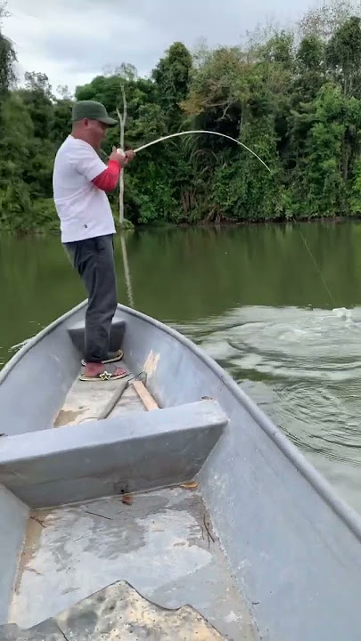dia mari dengan tak kabar sobat,, itu lah keseronokan casting tpo water #love #fishinglife