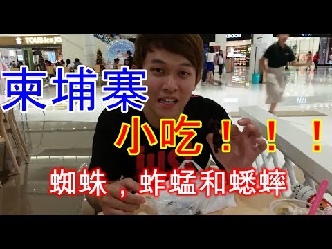 柬埔寨的小吃昆虫