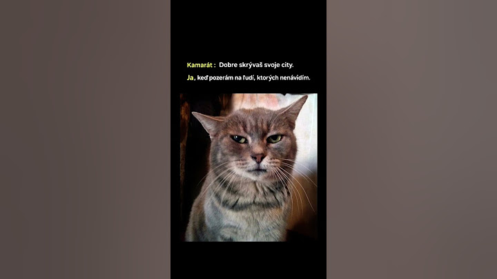 Nedokážem sa pretvarovať 🙄#shorts #youtube #memes #funny #relatable #cat #humor