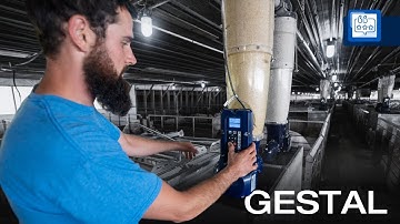 Transitioning to Group Housing Under Prop 12: A Gestal Testimonial.