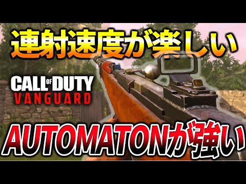 【COD:V】スナイパーはサブ！アサルト『AUTOMATON』が強いｗｗ【紙エイム】