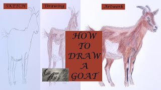 How To Draw A Goat Easy | Step By Step Pencil Drawing 