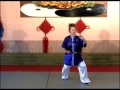 Taiji Quan Double Eventails, forme en 48 mouvements (exercices &amp; demonstration)