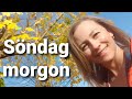 Söndag morgon