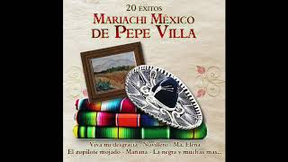 Mariachi Mexico de Pepe Villa - Atotonilco
